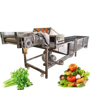 Hot sale fruit bubble washing machine