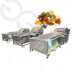 GELGOOG Fruit Washing Sorting And Grading Machines Wash Fruit Spray Conveyor Washing Machine For Durian Fruit