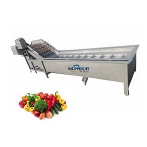 Industrial Fruit and Vegetable Washing Machine Dates Cleaning Machine for the Dates Cleaning