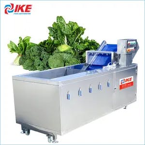 Industrial Fruit Washing Lavadora De Frutas Industrial Efficient Fruit Vegetable Wash