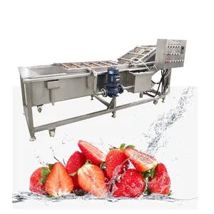 Easy to Operate Industrial Fruit Washer Customized Vegetable Air Bubble Herbs Washing Machine