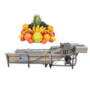 drying fruit machine fruit and vegetable washing and drying machine