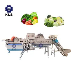 KLS fruit and vegetable washer machine industrial vegetable washer commercial pressure vegetable washer