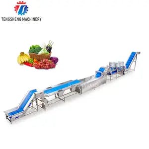 Automatic Fruit And Vegetable Washing And Drying Machine Potato Tomato Carrot Grape Ginger Sorting Production Line