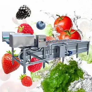 Bubble Washer Green Leafy Industrial Cabbage Fruit Portable Clean Celery Ozone Small Lettuce Vegetable Wash Machine