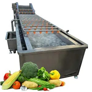 High Quality And Low Price Fruit Vegetable Industrial Fruit Washer